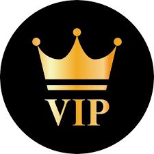 Plano VIP 3 Mêses